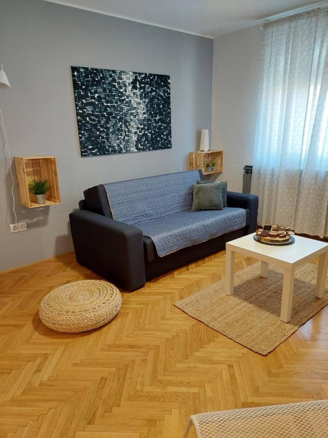 Apartmán Apartman Hana Drežnik Grad Exteriér fotografie
