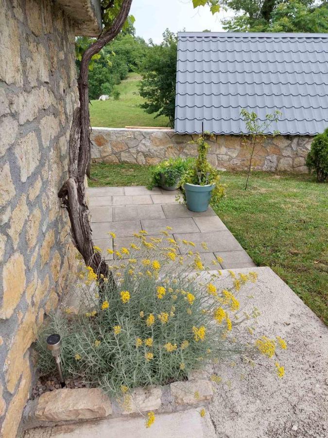 Apartmán Apartman Hana Drežnik Grad Exteriér fotografie
